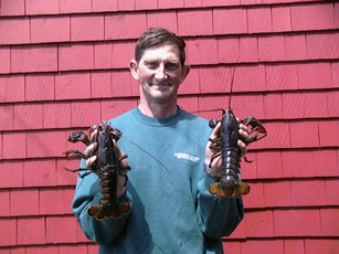 Lobster Festival